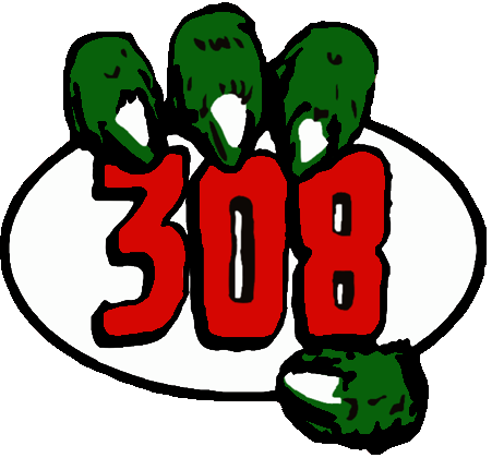 308 Team Logo.